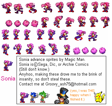 Sonia the Hedgehog by Magic Man/Groovy Ash.